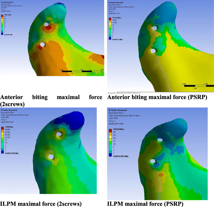 Fig. 10