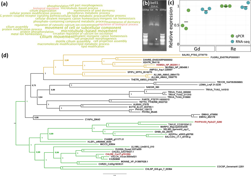 Figure 3: