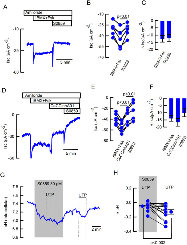 Figure 3—figure supplement 2.