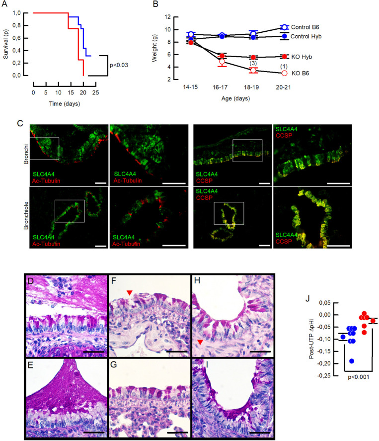 Figure 4—figure supplement 1.