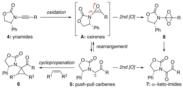 Scheme 3