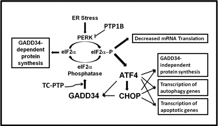 FIGURE 10.