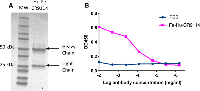 Fig 5