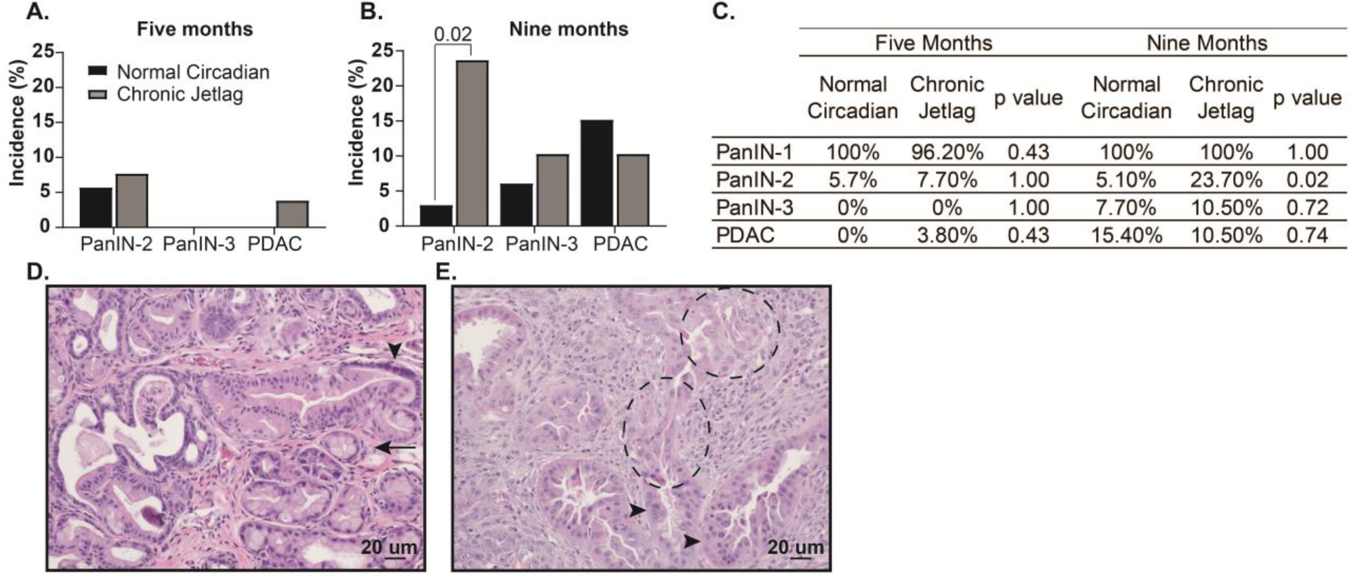 Figure 2: