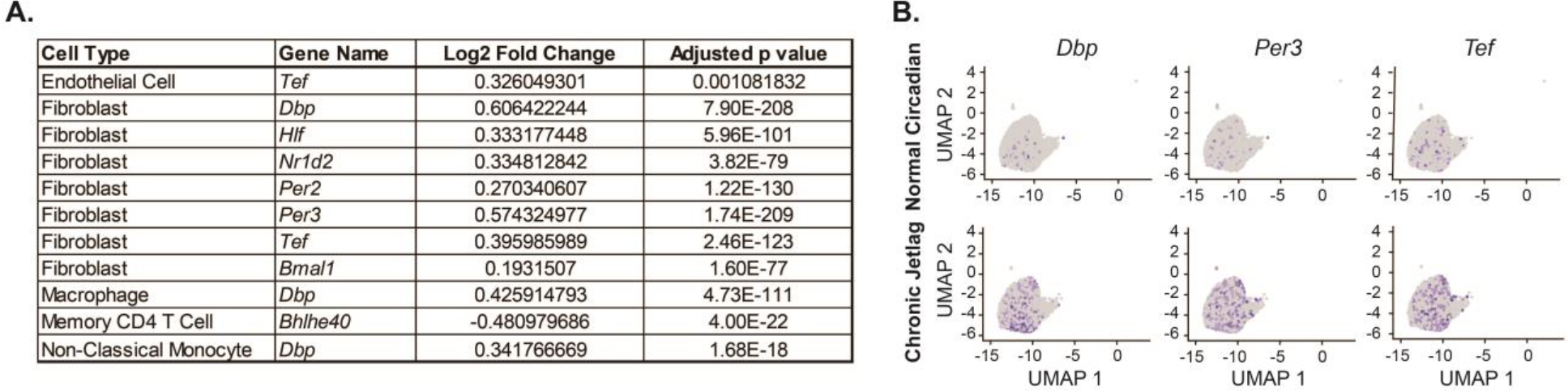 Figure 7: