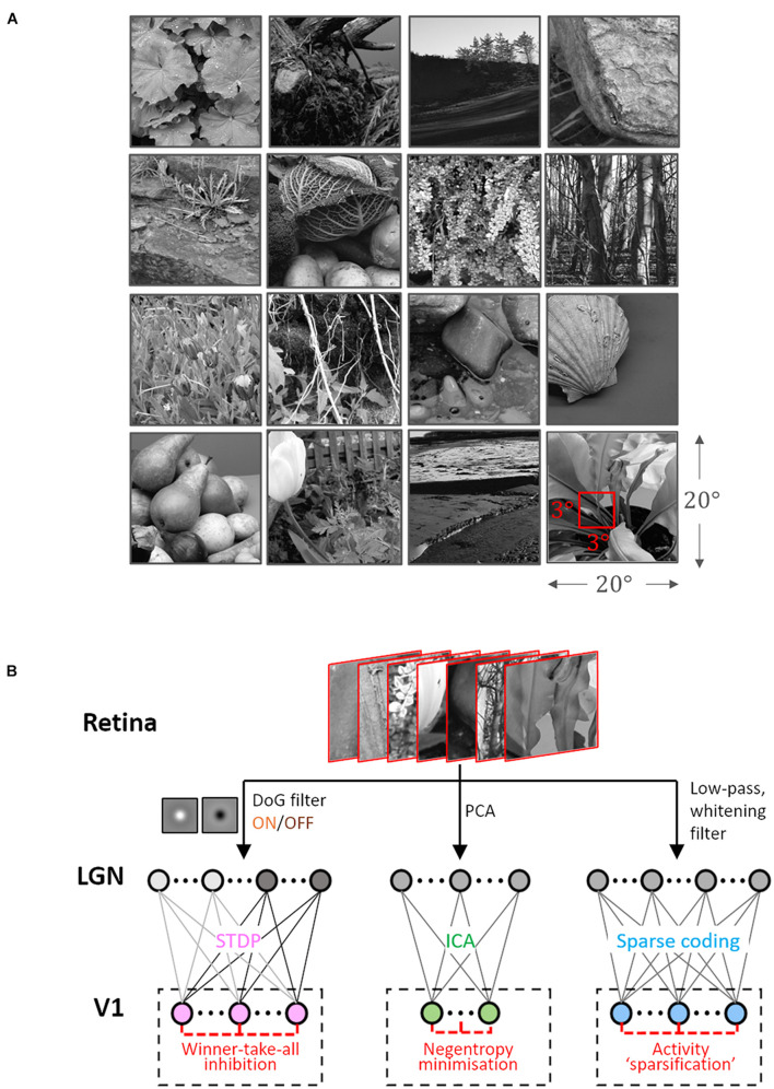 FIGURE 1