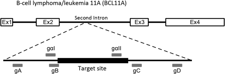 Fig. 1