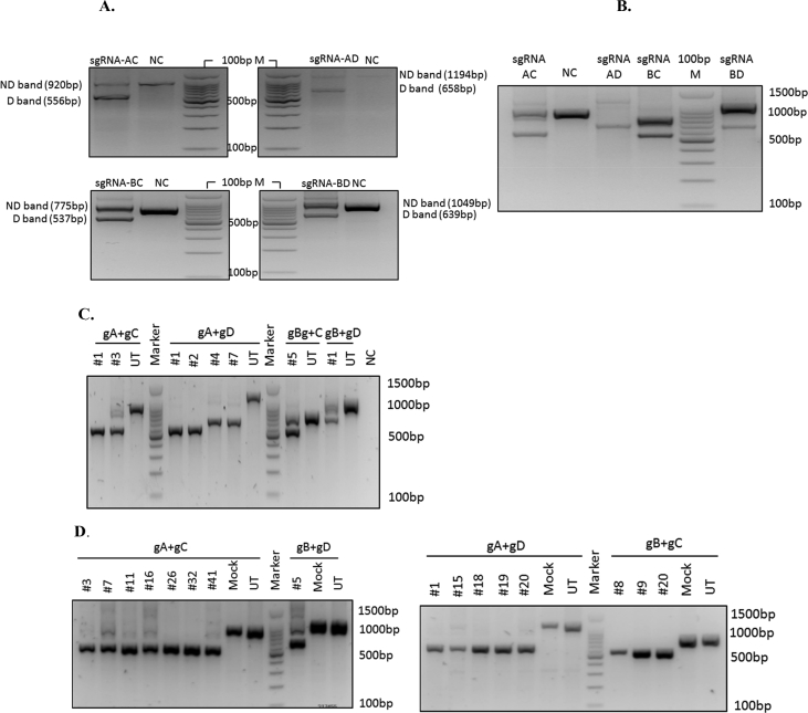 Fig. 4