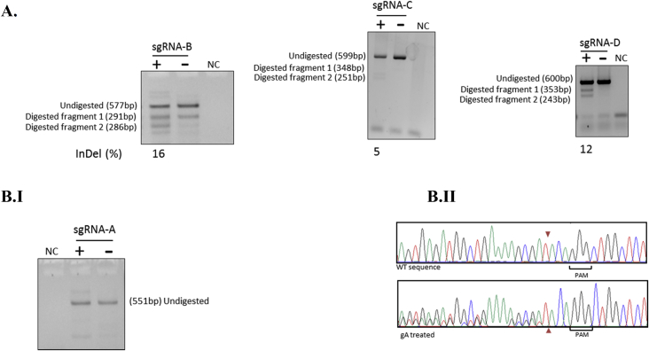 Fig. 2