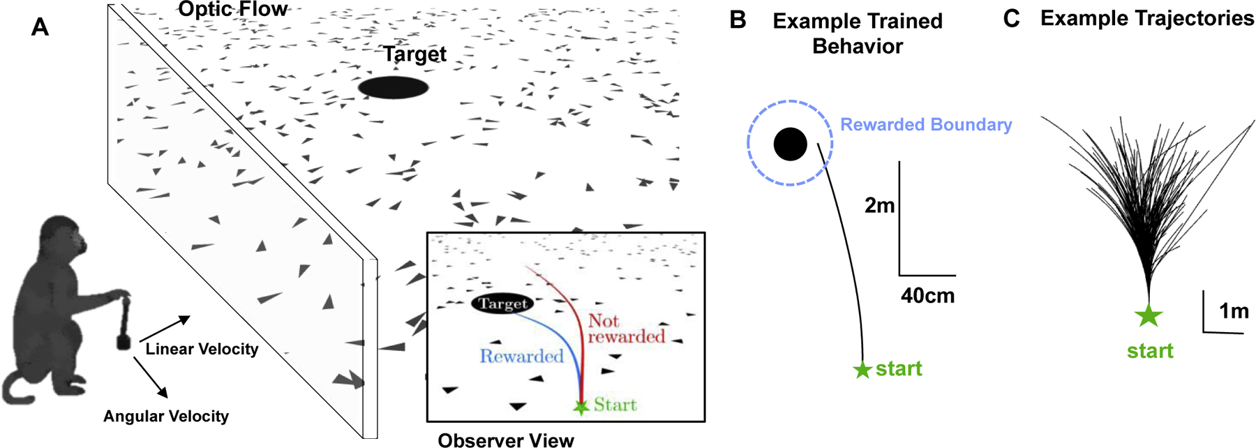 Figure 2: