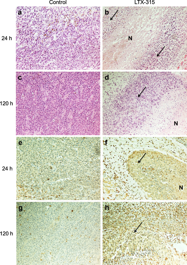 Fig. 4