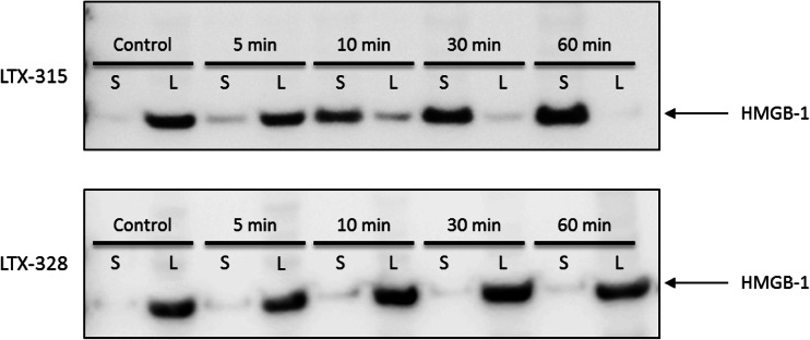 Fig. 2