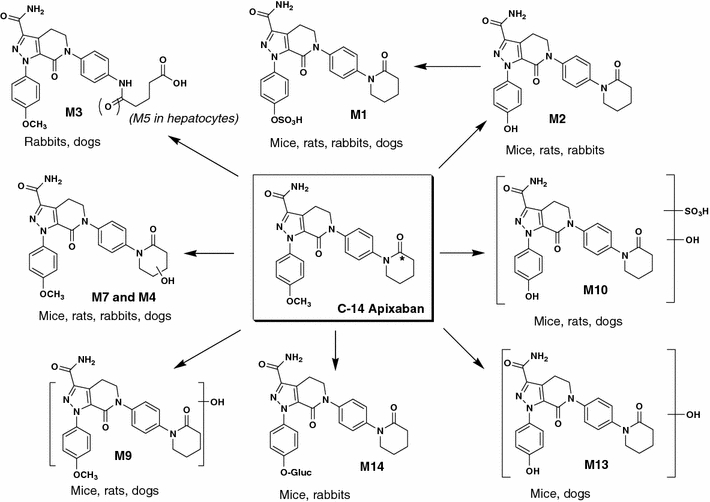 Fig. 7