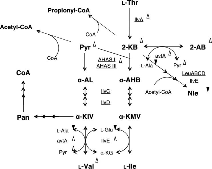 Fig 8