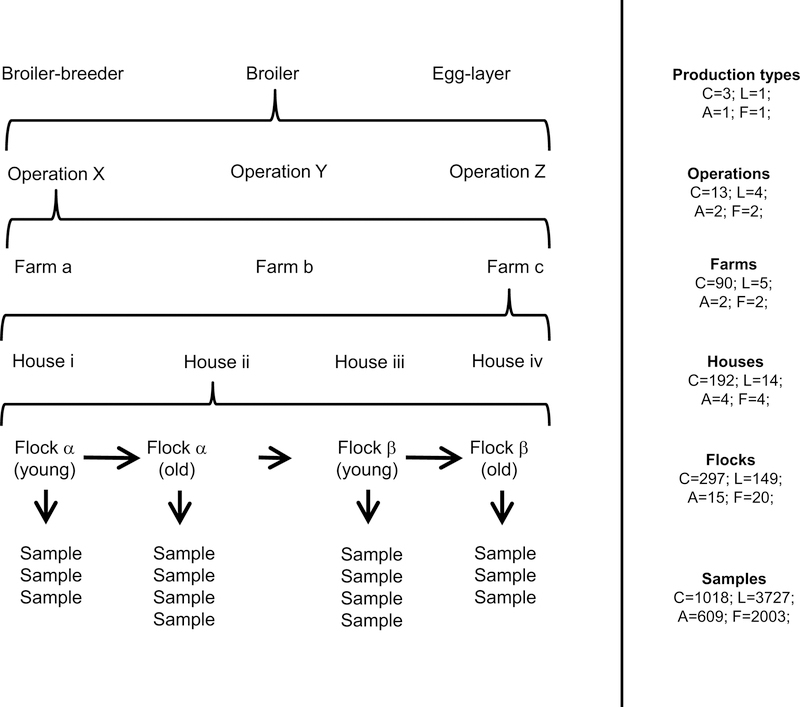 Figure 1: