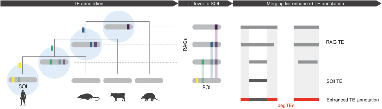 Figure 1