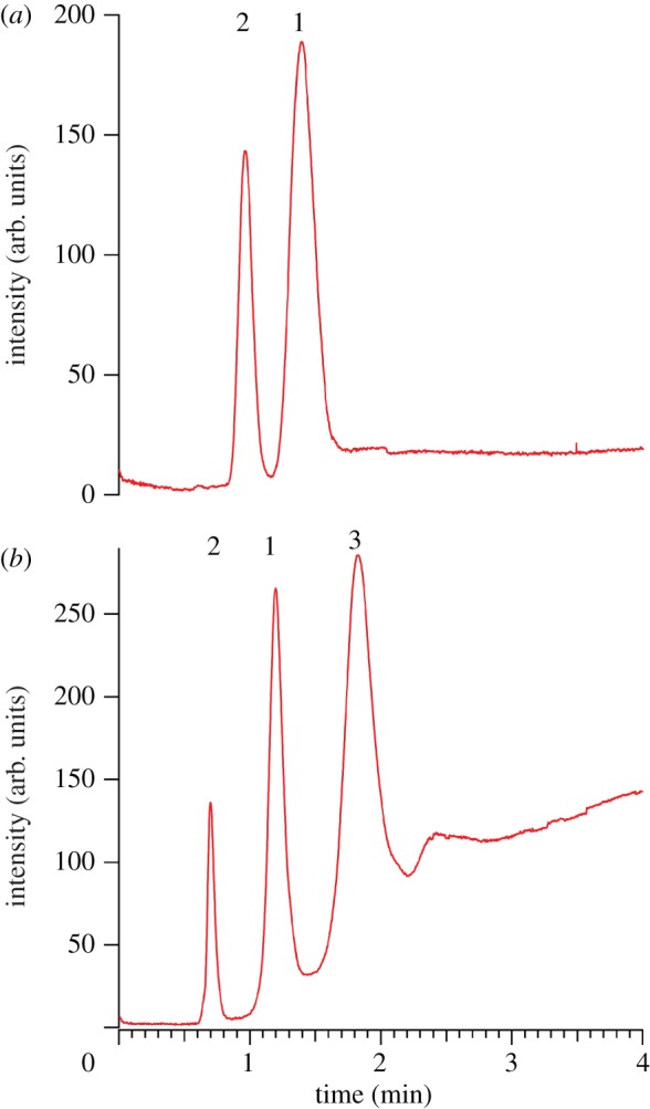 Figure 5.