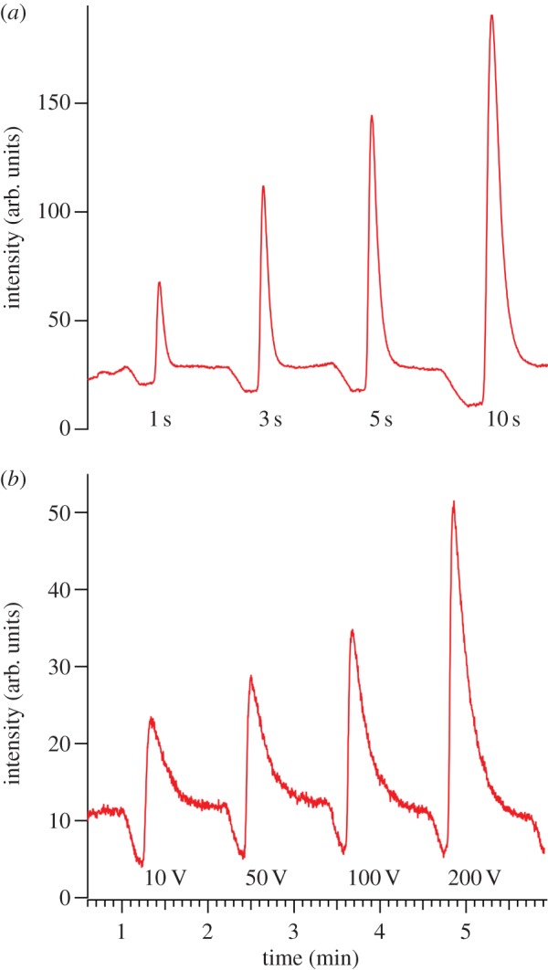 Figure 3.