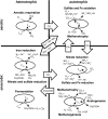 <b>FIG. 2.</b>