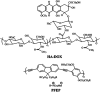 Fig. 15