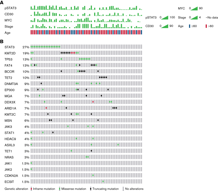 Figure 1.