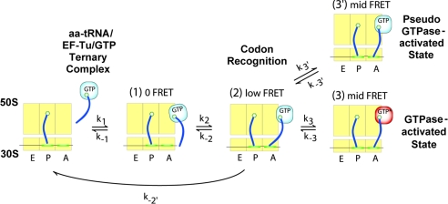 Fig. 3.