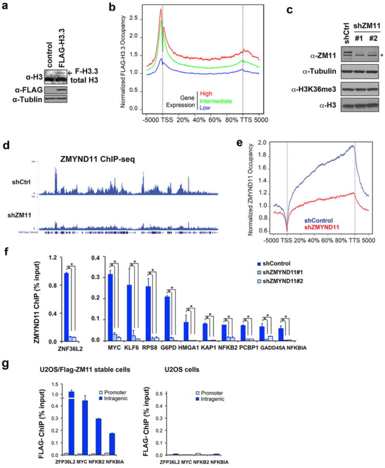 Extended Data Figure 5