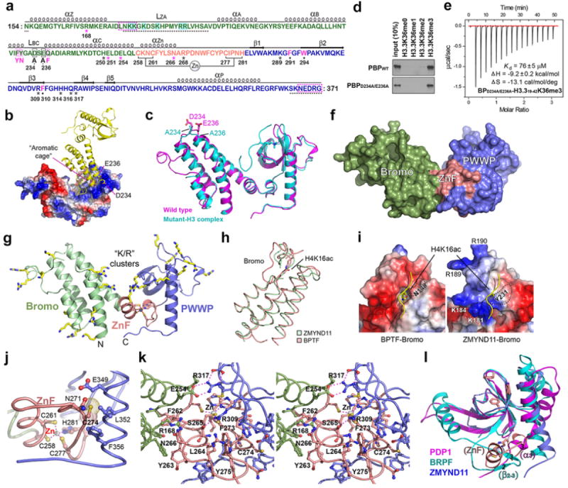 Extended Data Figure 2