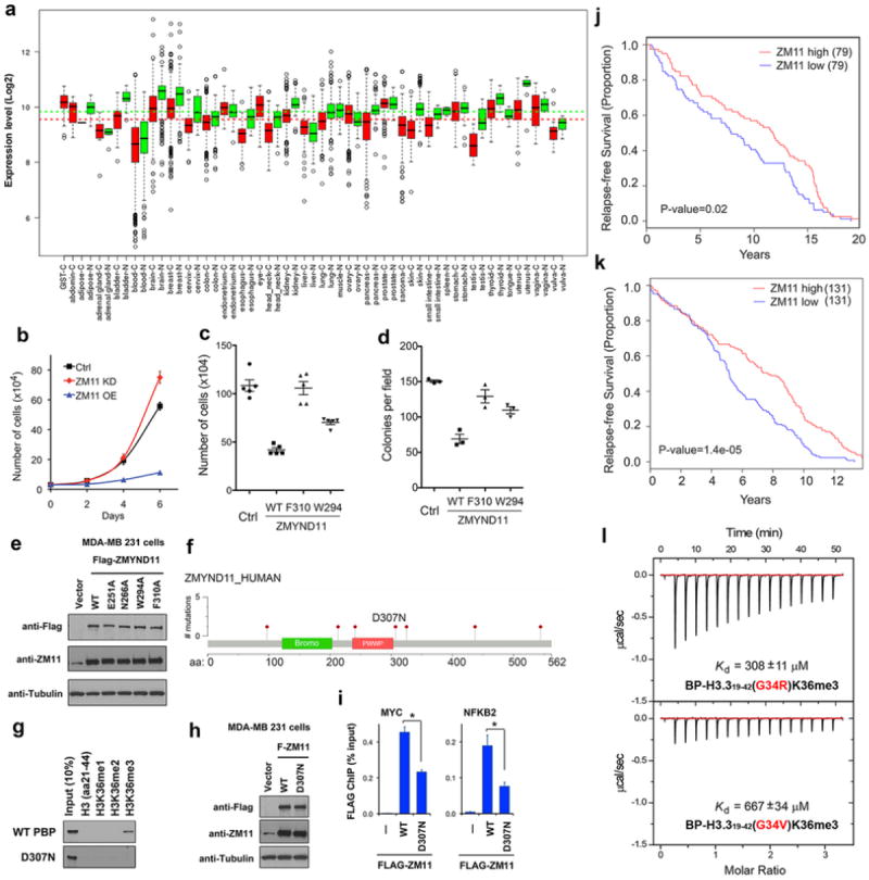 Extended Data Figure 9
