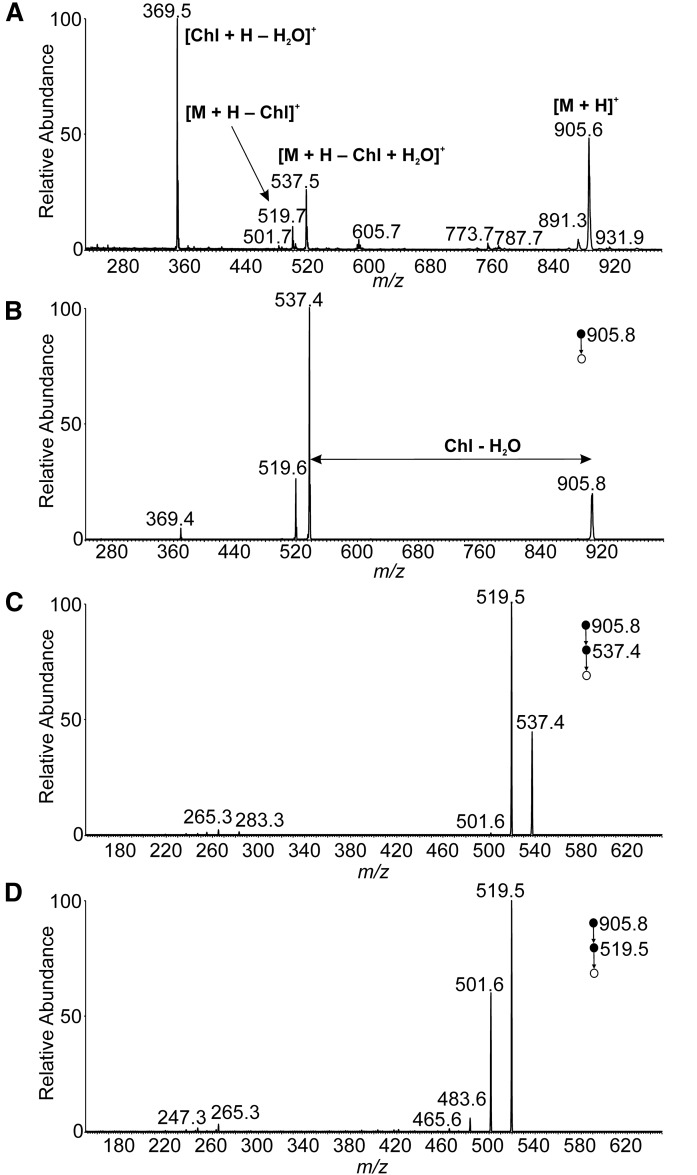 Fig. 4.