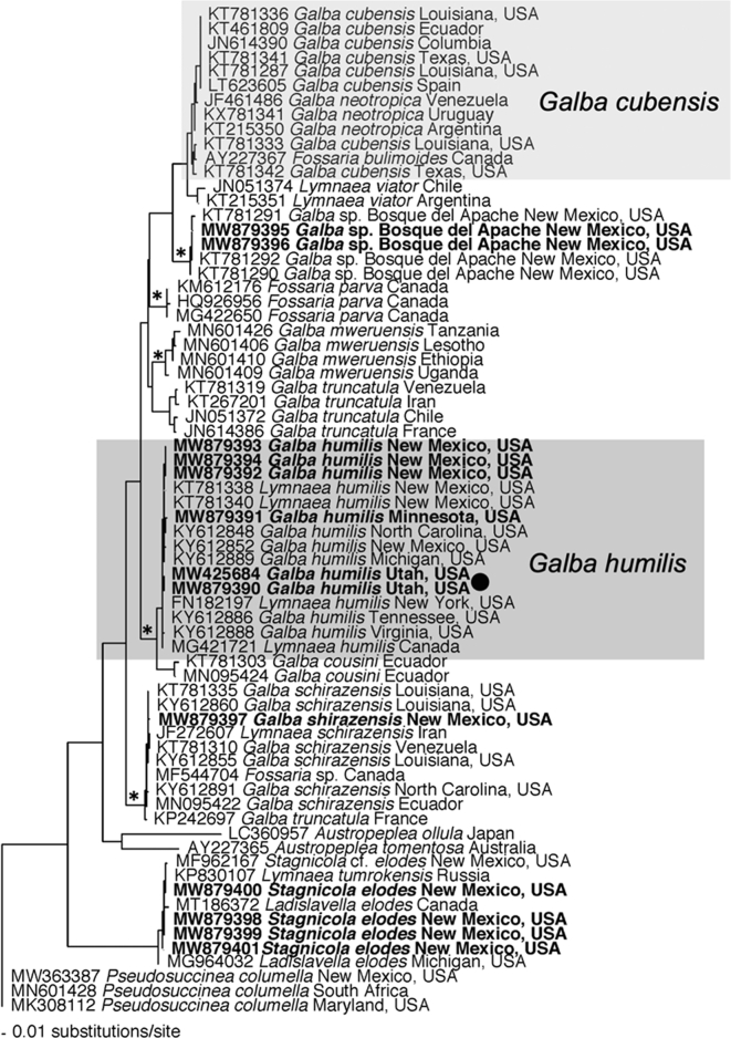 Fig. 5