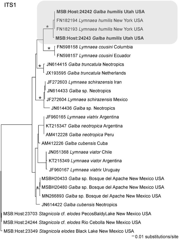 Supplementary Fig. 1