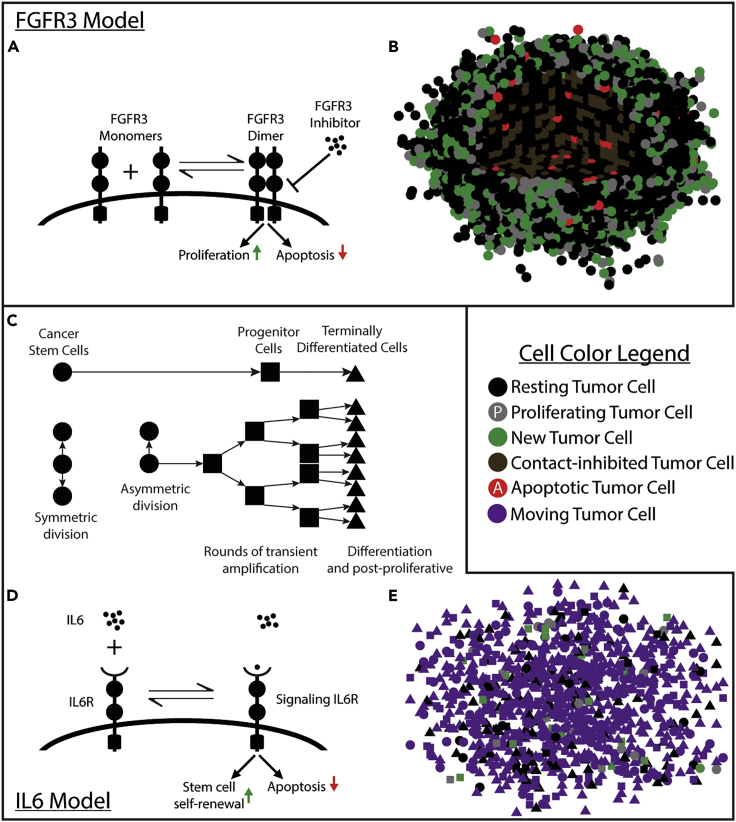 Figure 2