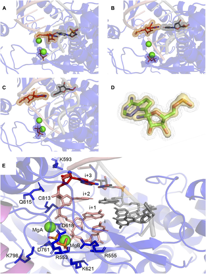 FIGURE 2