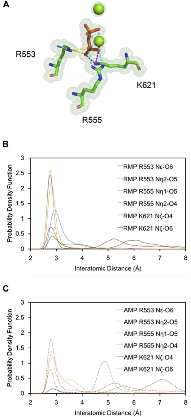 FIGURE 3