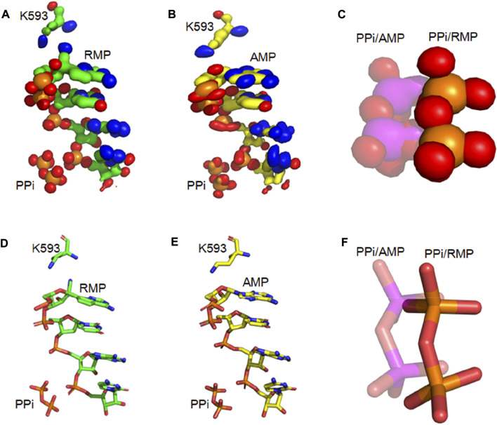 FIGURE 4