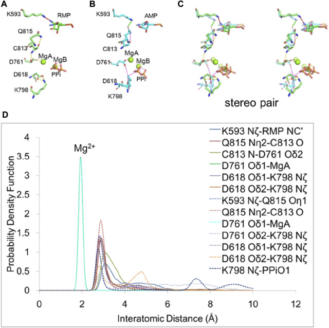 FIGURE 6