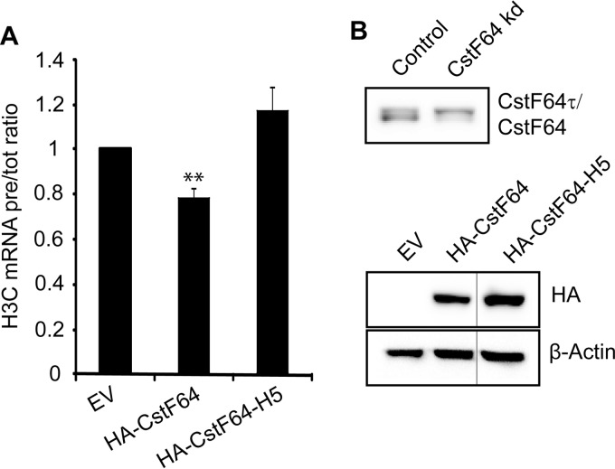 FIG 3