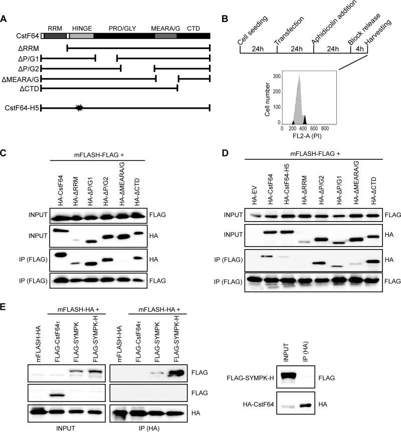 FIG 4