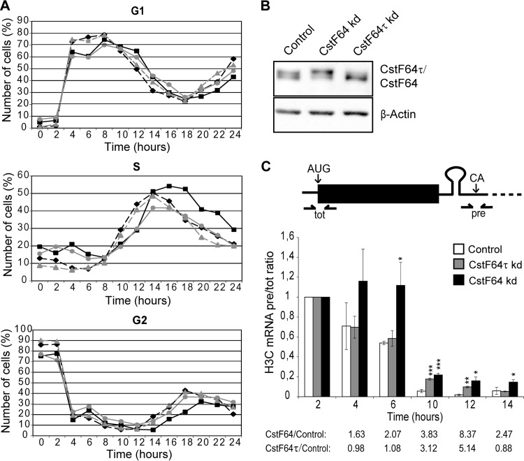 FIG 2