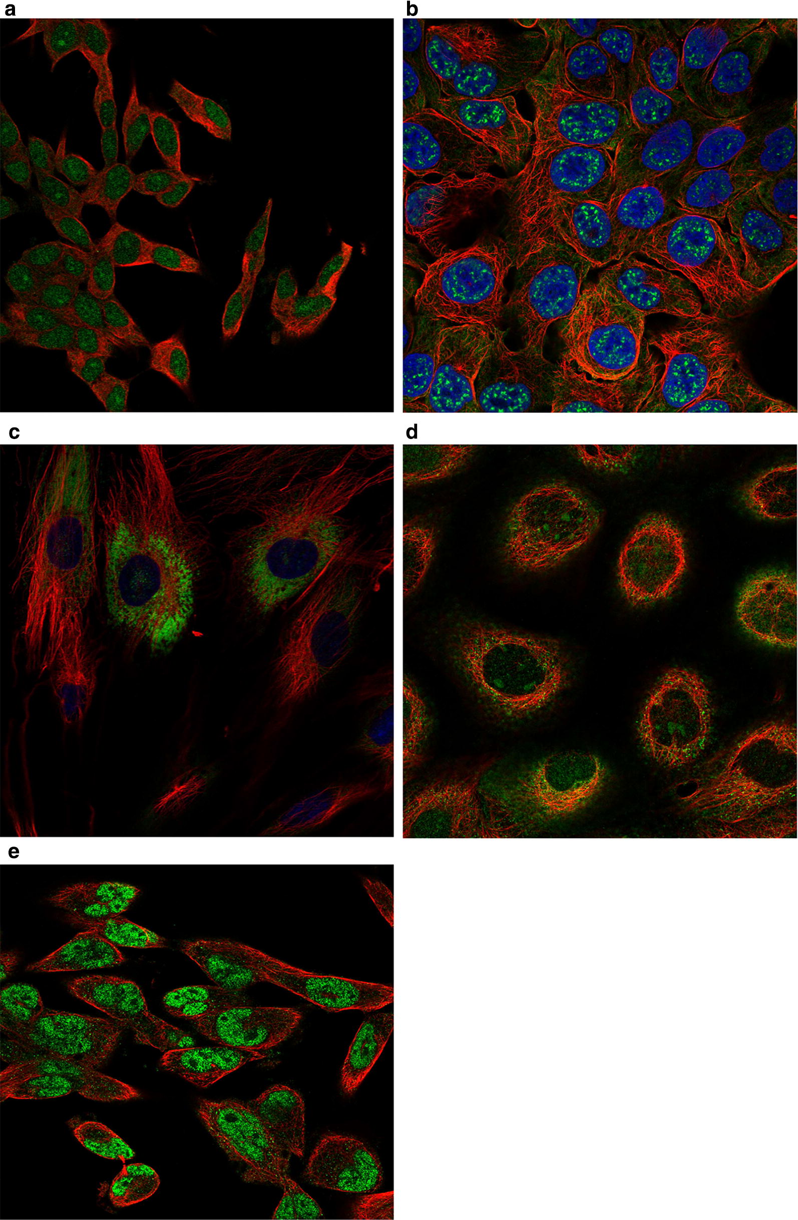 Fig. 14