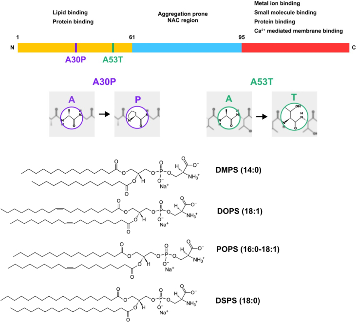 Figure 1