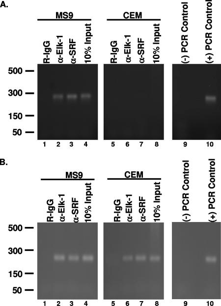 FIG. 5.