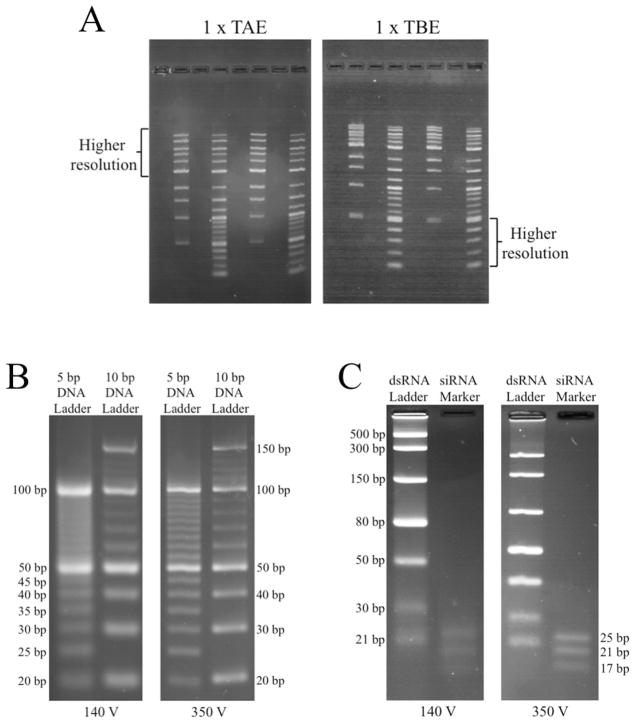 Fig.5