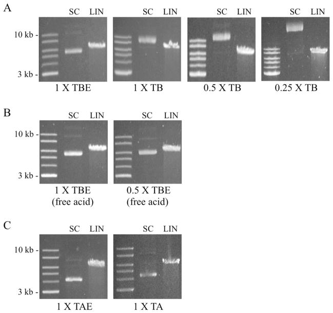 Fig.6