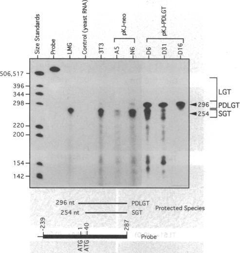 graphic file with name pnas01128-0125-a.jpg