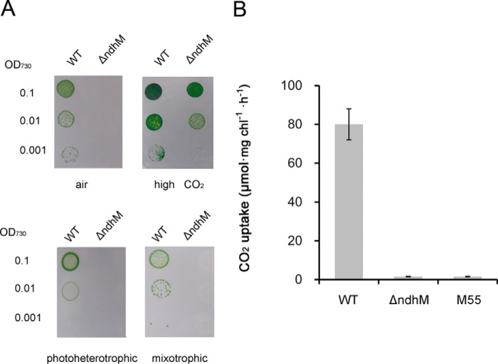 FIGURE 2.