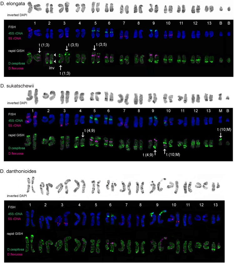 Fig 3