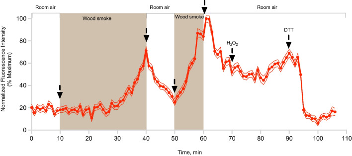 Fig. 2