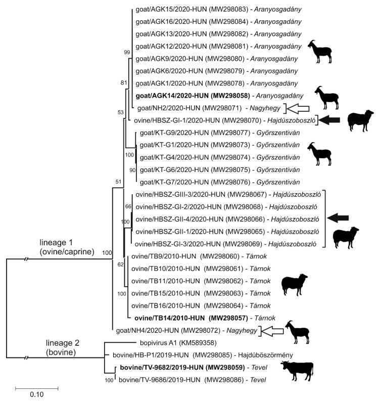 Figure 6